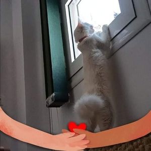 Meet your Posher, Stella